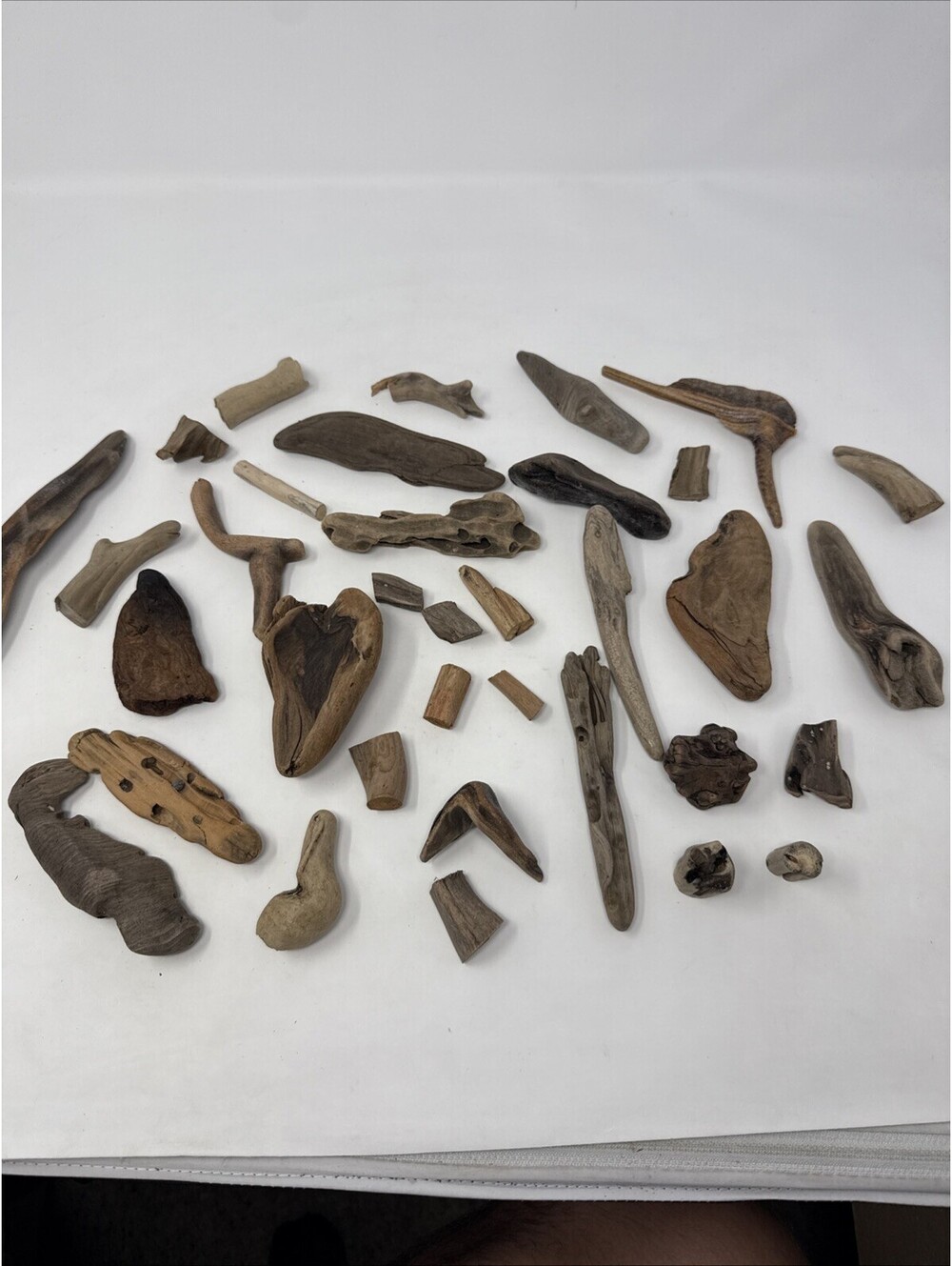 Drift Wood Collection 35 Pc Lot Unique Shapes